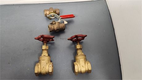 2 Gate Valves & 2 Ball Levers