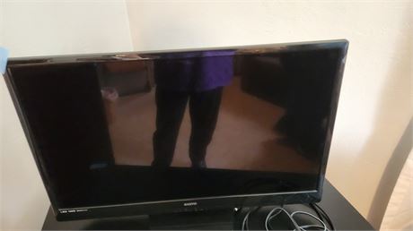 Sanyo TV With Remote & Manual