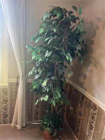 Artificial Ficus Tree