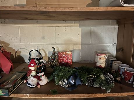 Shelf Lot