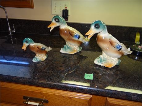 Ducks