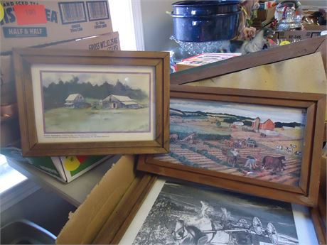 Wood Framed Pictures