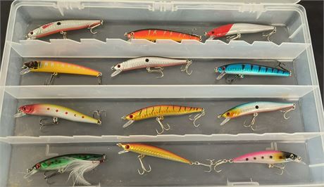 Fishing Lures & Storage Case