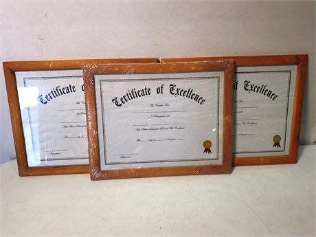 3 Certificate of Excellence Plaques