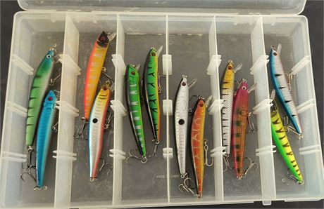 Fishing Lures & Storage Case