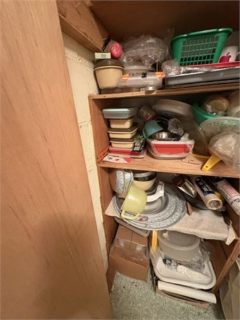 Shelf Lot, Trays, Storage Containers, Misc