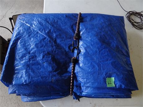 Tarp