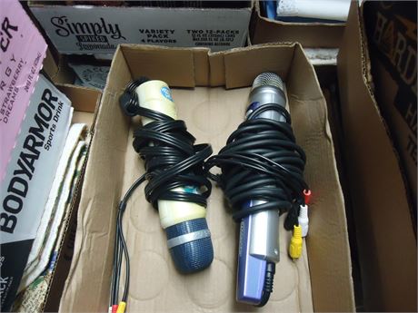 2 Children Microphones