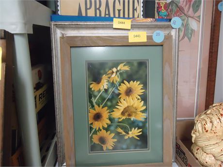 Framed Flower Picture