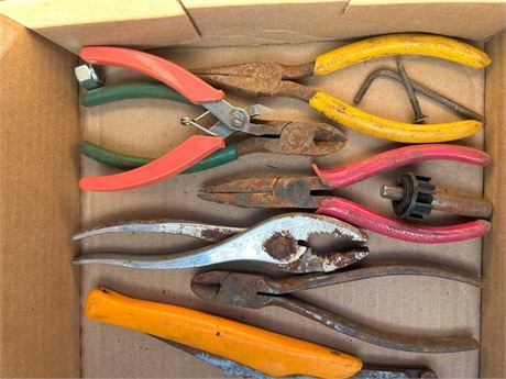 Flat of Pliers