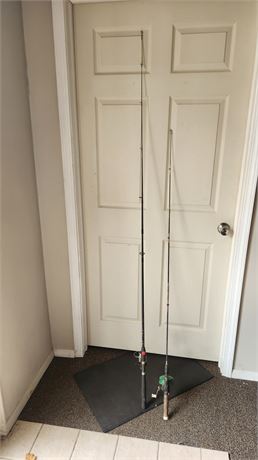 Johnson 98 Reel With A Pole & Daiwa TG1300 H Tournament Reel With A Pole