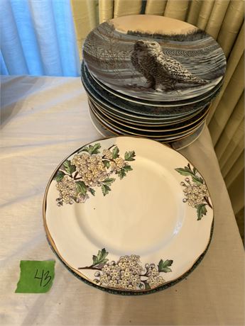 Collectible Dishes