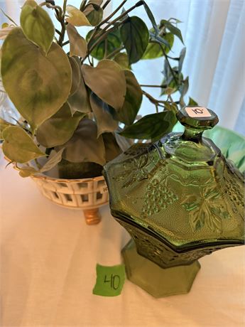 Plant, Green Glass Dishes
