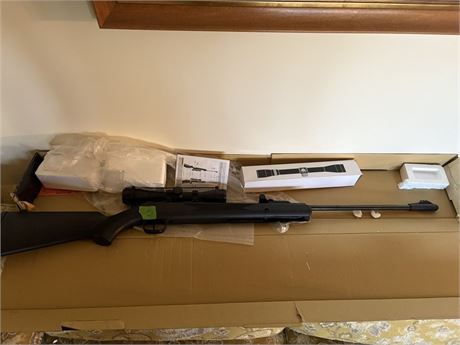 Ruger Air Hawk