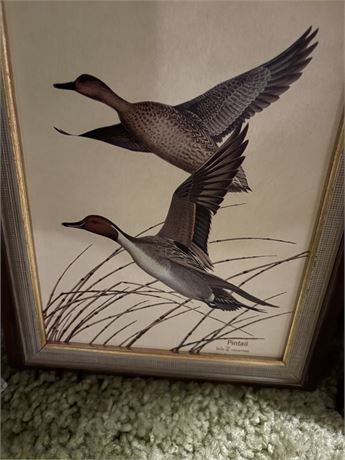 Wall Art, Ducks