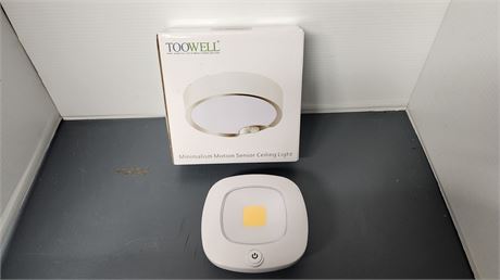 Toowell Motion Sensor Ceiling Light & Misc. Item