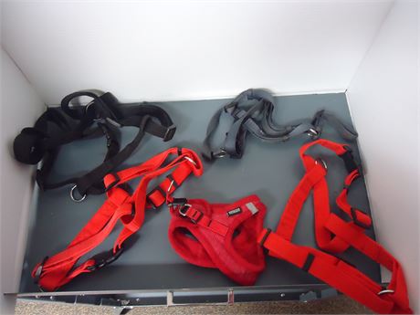 Lot Of Dog Harnesses