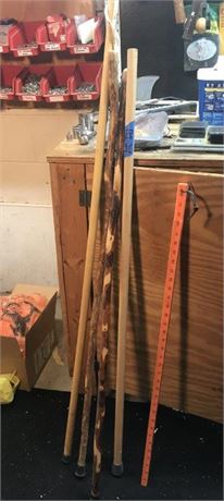 Walking Sticks