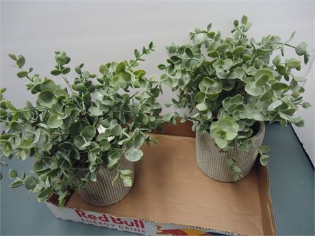 2 Decorative Artificial Plants &  Holders