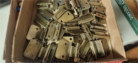 Lot Of Cabinet Door Hinges