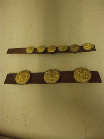 Coin Straps
