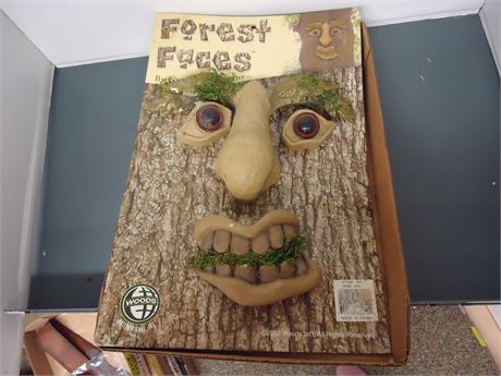 Forest Faces