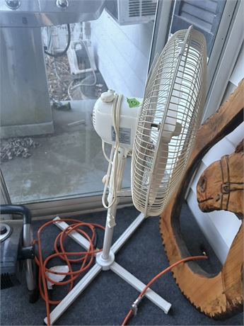 Fan