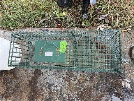 Animal Trap