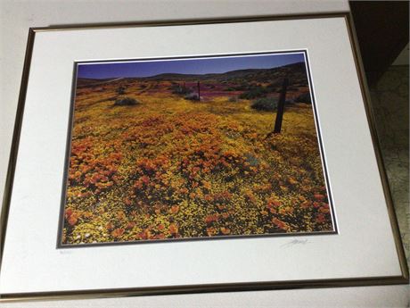 Nice Photo Print