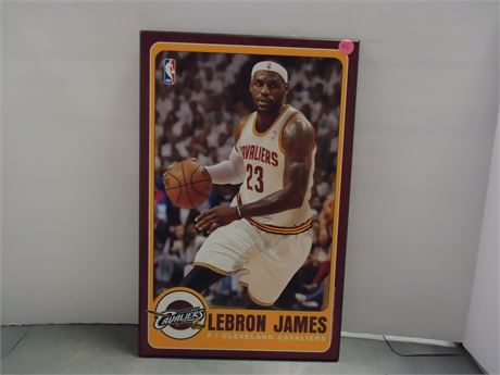 Lebron James Collectible Wall Hanger