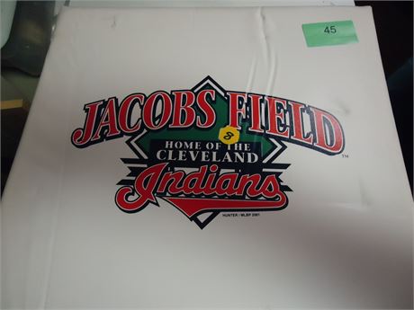 Jacobs Field Seat Cushion