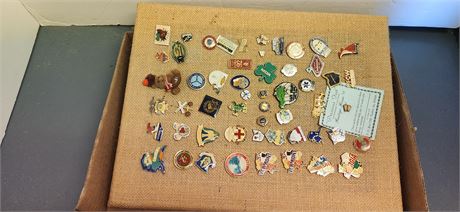 Lot Of Various Pins