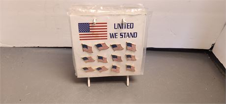 Lot Of US Flag Pins & Metal Holder