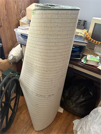 Carpet Rug