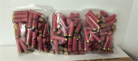 Empty Shotgun Shells