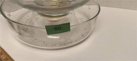 Unmarked Glass Bowls