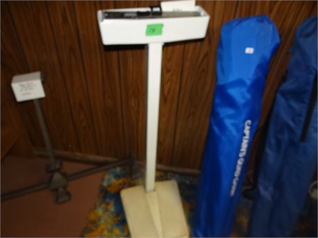Scale