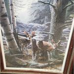 LotImage