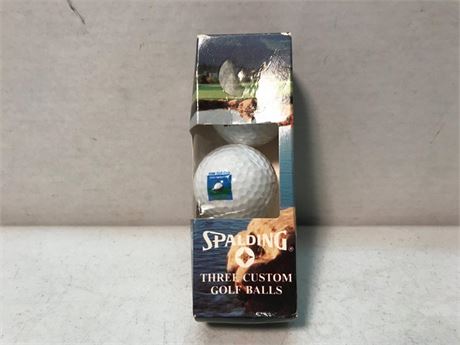 Spalding 3 Custom Golf Balls Sleeve