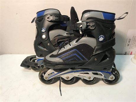 Mongoose Size 8-9 Roller Skates