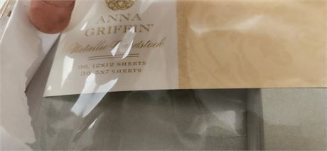 Anna Griffin Silver Metallic Card Stock