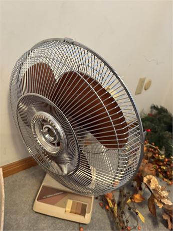 Fan