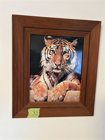 Tiger Art