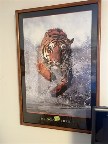 Tiger Art