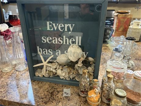 Seashell Decor