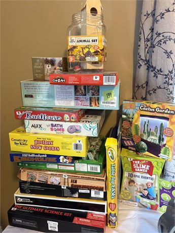 Toy Kid's Craft Lot