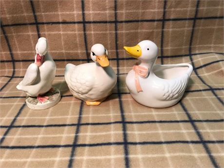 3 Misc. Ducks