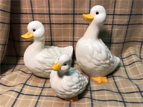 Ceramic Ducks