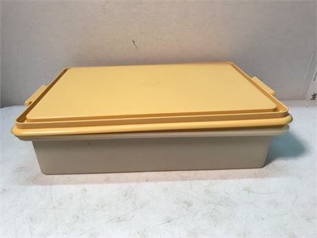 Tupperware Container & Lid