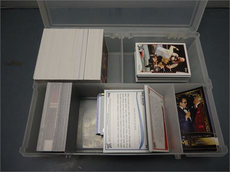 Lot Of Wrestling Trading Cards
